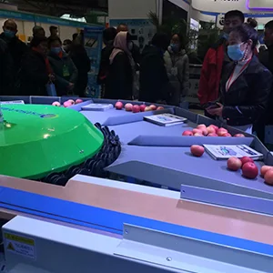 The Intelligence Agriculture Exhibition In Yuncheng, China