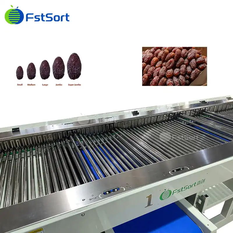 Adjustable Date Grading Machine