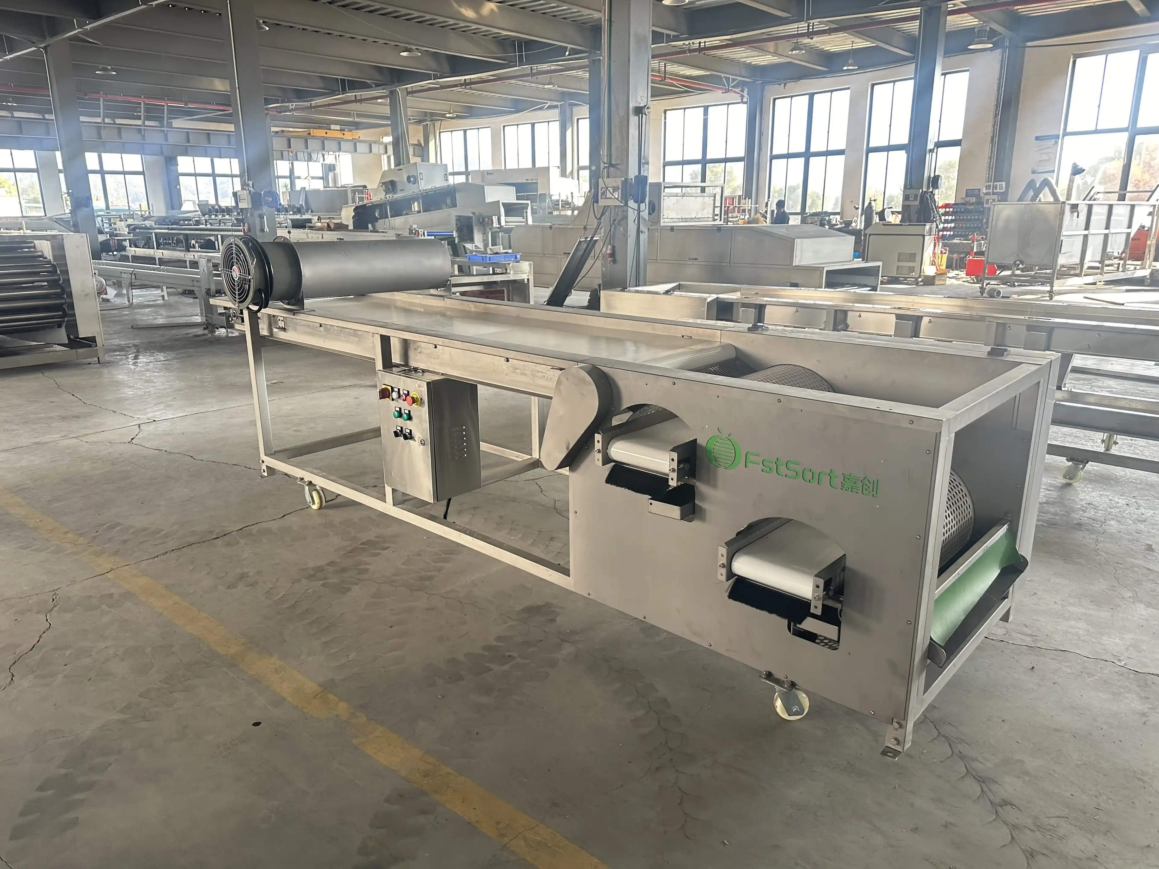 Fstsort blueberry grading machine is popular in the Americas