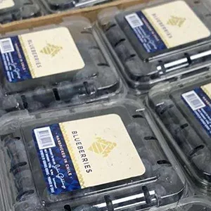 The first batch of Chilean blueberries will arrive in China today