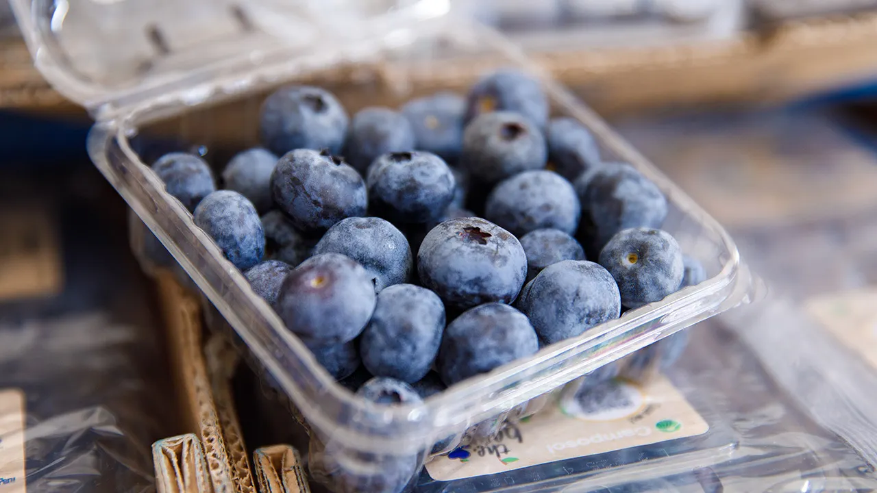 Peruvian Blueberries Hit Peak Consumption Season in China