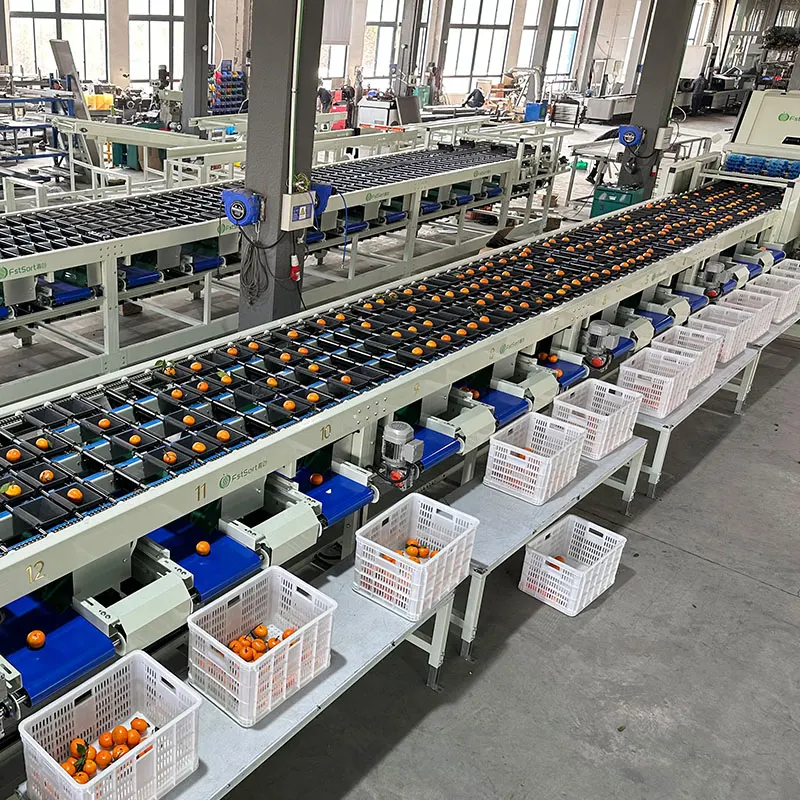 How to quickly sort citrus fruits