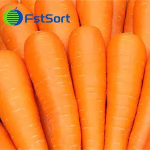 Washing and sorting machines for Australian carrot customers