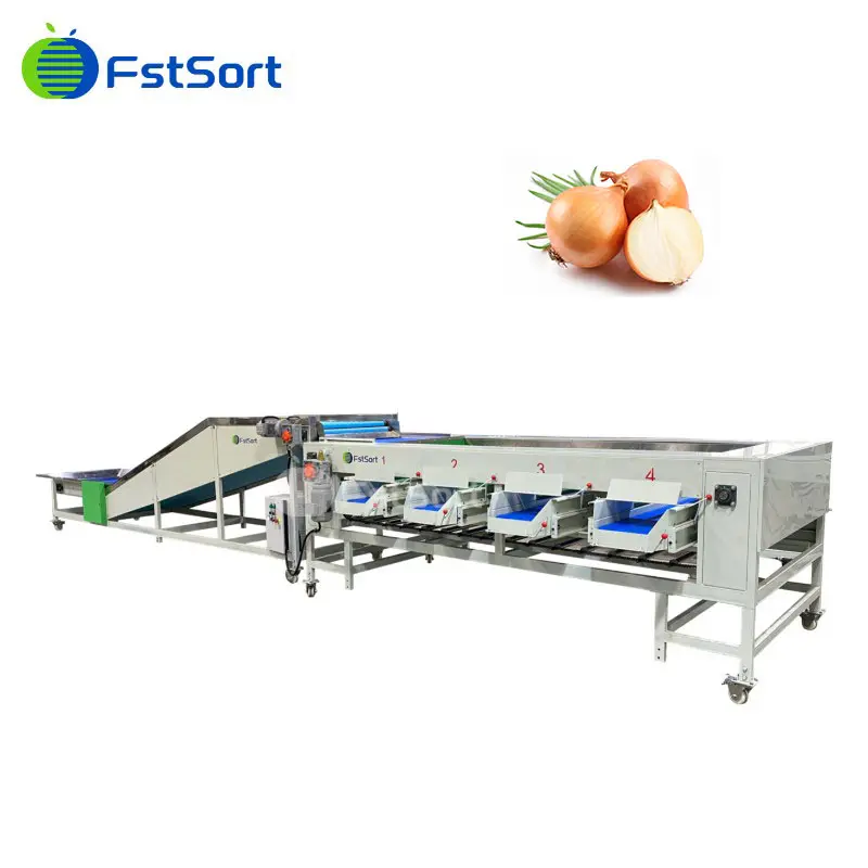 What Are the Benefits of Using an Onion Grader in Your Business