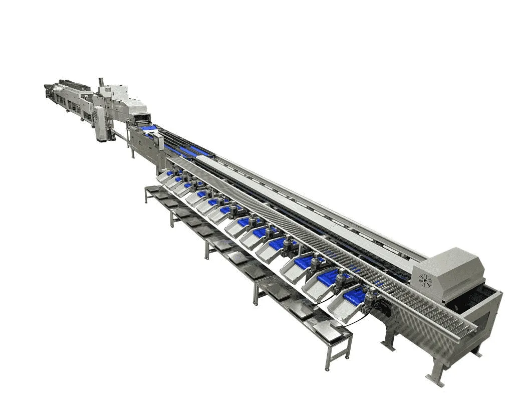 Avocado processing line