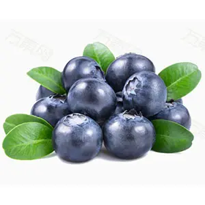 Chilean blueberry season is coming