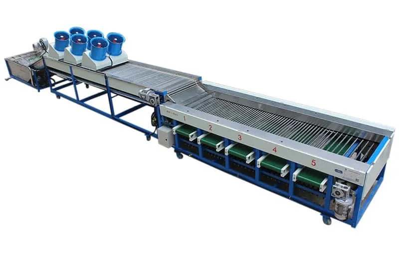 Logan Cherry Tomato Grading Machine - FstSort