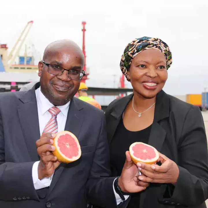 South Africa's first citrus reefer Vessel arrived in China