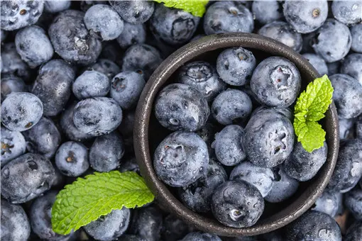 US Blueberries Enter Peak Harvest Season