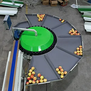 Temporada de granada, máquina clasificadora de granada