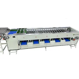 Adjustable Lemon Calibractor