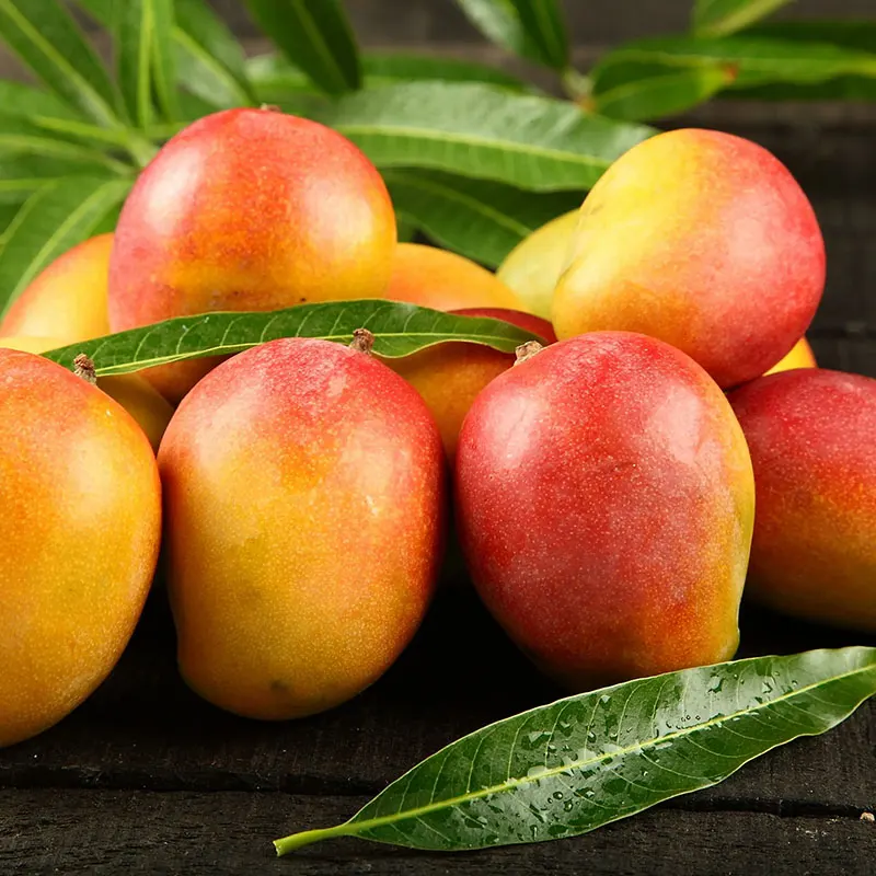 Peruvian mango production declines in 2024