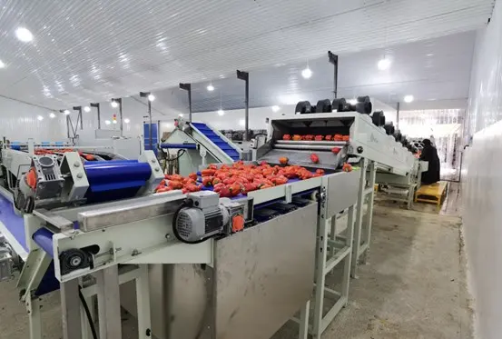 Nuestra máquina funciona bien en la fábrica de nuestro cliente