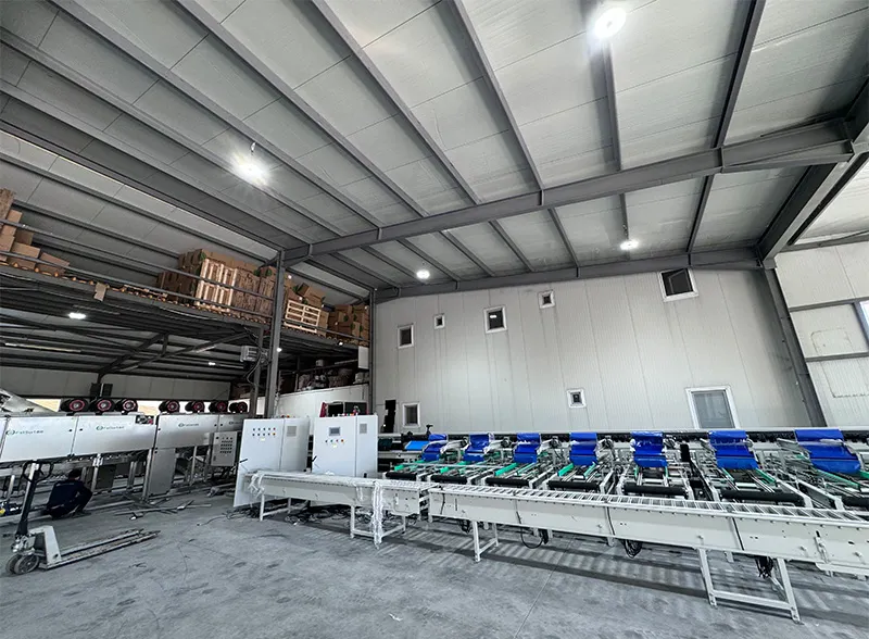 Fstsort Tomato Optical Sorter Line