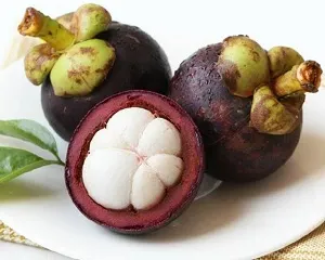 Sorting,washing,grading mangosteen