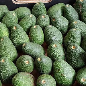 Georgia's avocado imports are increasing