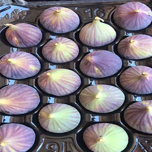 Los Higos también necesitan orden   la clasificadora de peso con dos líneas