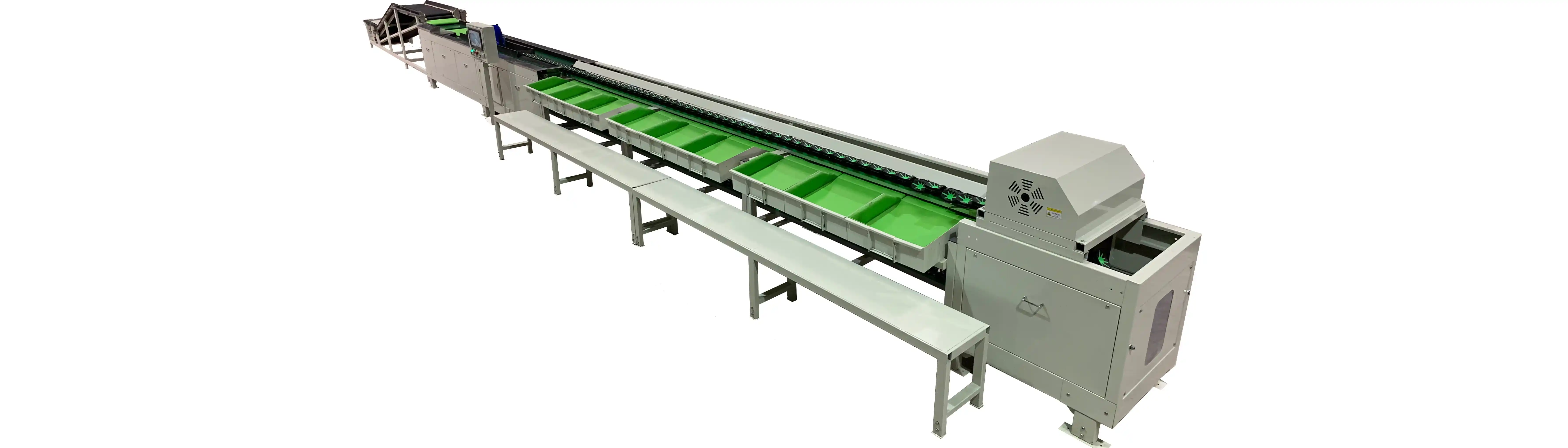 Fruit&Vegetable Rolling Sizing Machine for Sorting Sour Cherry Apricot  Jujube - China Pomelo Sorting Machine, Mandarin Sorting Machine