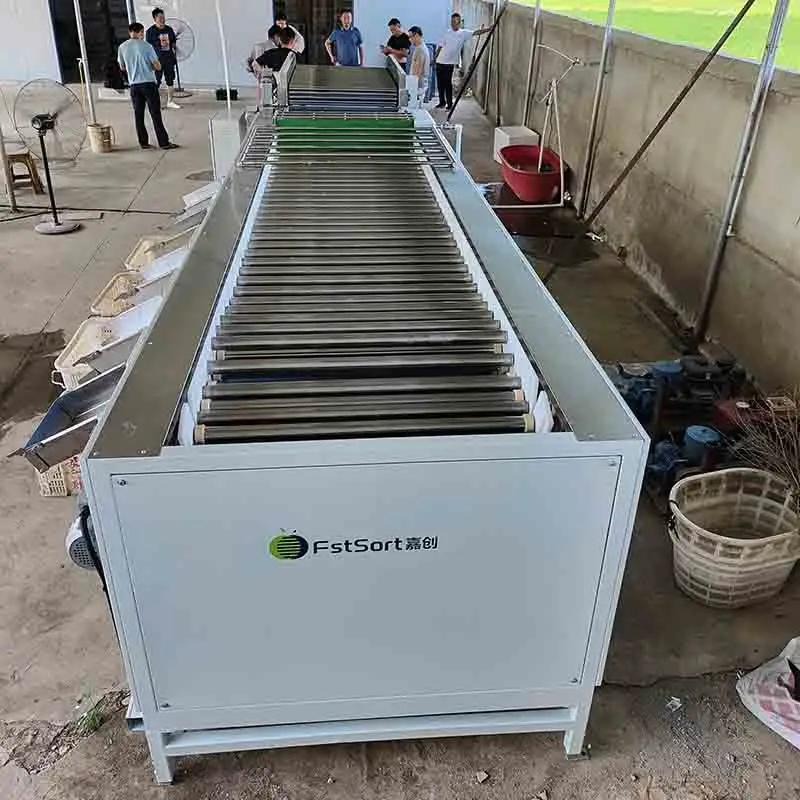 Crayfish automatic grading machine