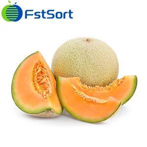 How fruit farmers use sorting technology to make cantaloupe more profitable