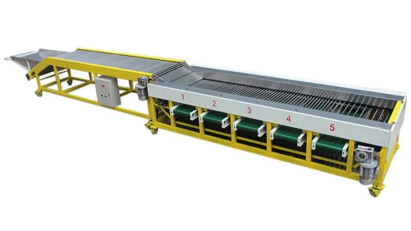 Longan Grading Machine - null by FstSort