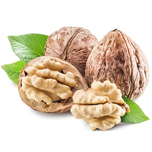 Why Choose Walnut Sorting Machine Supplier