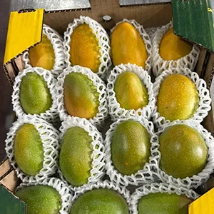 Pakistán planea exportar mangos a China a través de una plataforma en línea