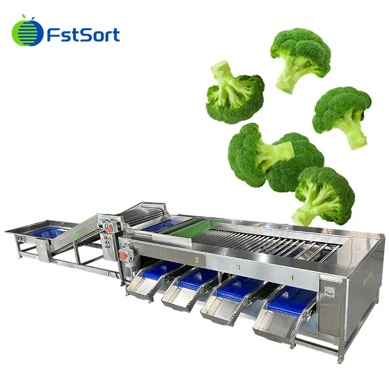 Broccoli graders are on the rise