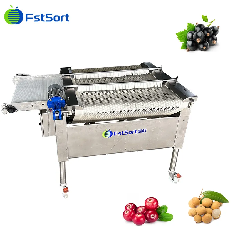 Clasificadora de arándanos de alto rendimiento