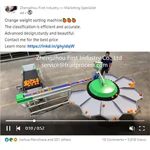 Popular rotary weight grader in First Industry