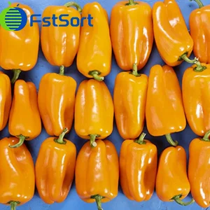 Nueva variedad - pimientos dulces