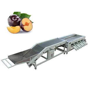 Machine for sorting plums