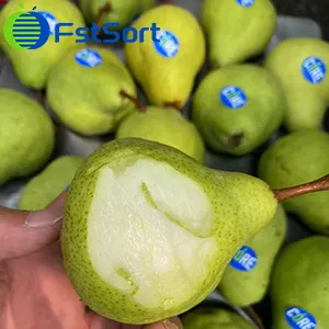 Peras en el Hemisferio Sur