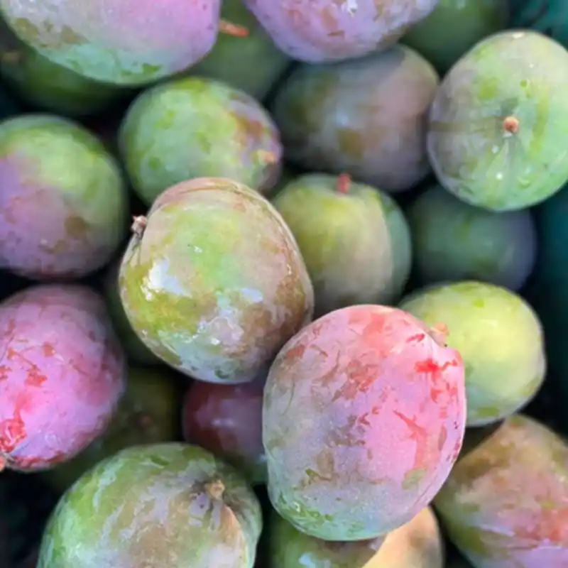 Mercado de Mangos