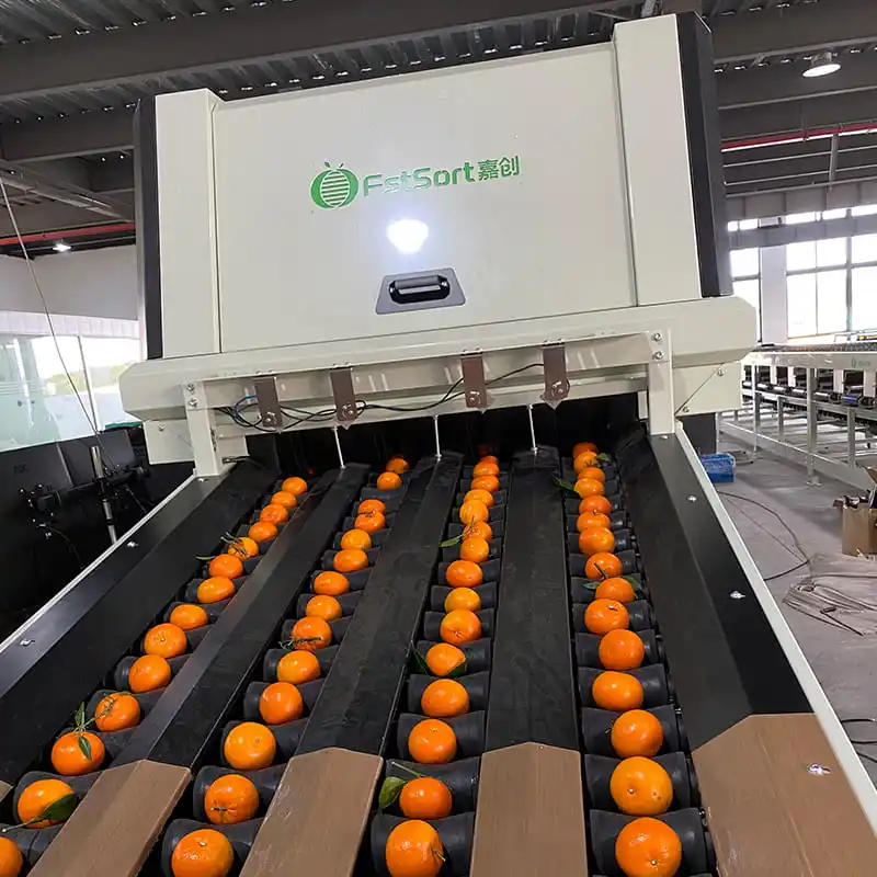 Why electronic vision sorting systems are popular for fruit packing warehouse