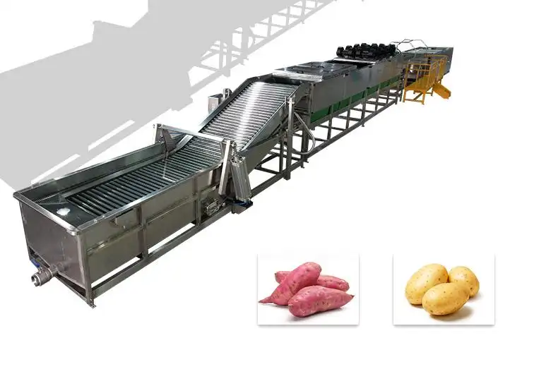 sweet potato washing, drying, sorting, grading line with packing tables