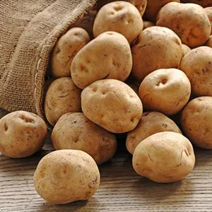 Potato cleaning sorting solutions for Iranian customers