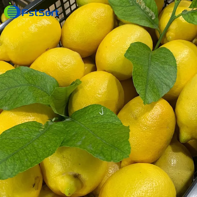 Estimated reduction in lemon production in Chile