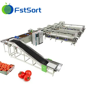 Fstsort le brinda servicios personalizados