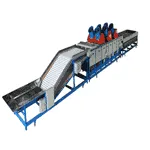 Citrus cleaning and sorting machines
