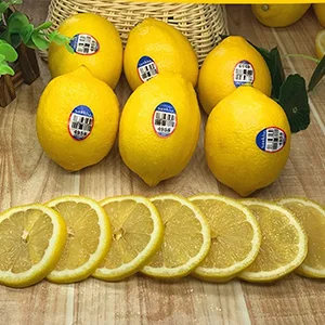 Organic Lemon Grading Machine-Chinese Market