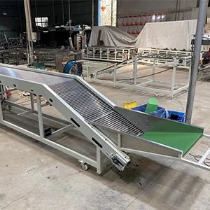 Date sorting packing machine