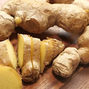Ginger Washing and Drying Machine