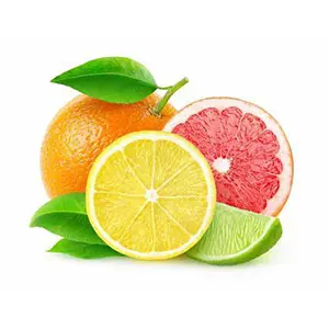 China and South Africa sign citrus agreement
