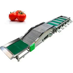 Which classifier is more suitable for tomato size sorting