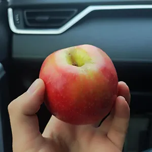 El equipo de FstSort visitó a nuestro cliente en Australia.