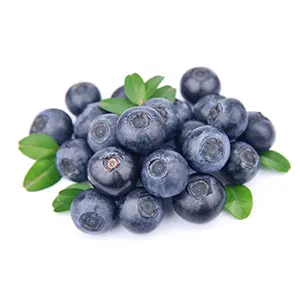 Planting conditions of Blueberry