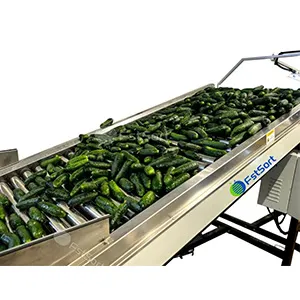Máquina clasificadora de pepinos