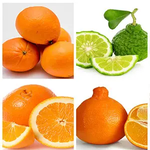 Global fresh orange production in the 2018/19 season will be the highest in nearly eight years