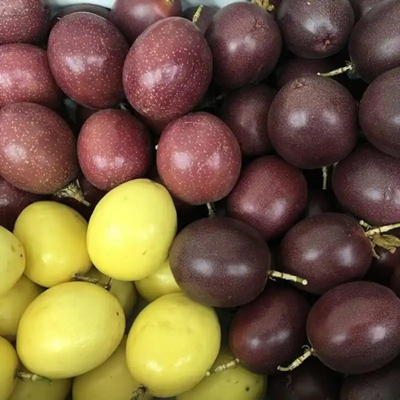 Demand for passion fruit is rising in Colombia